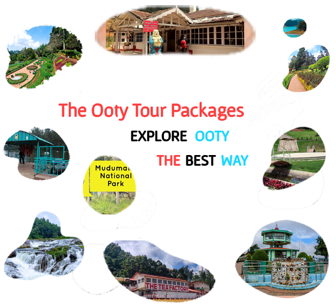 Ooty Package